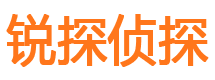 和政侦探公司